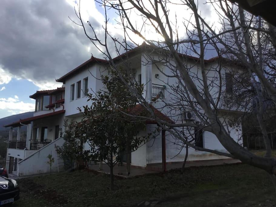 Villa_Kleio ลิโตโครอน ภายนอก รูปภาพ