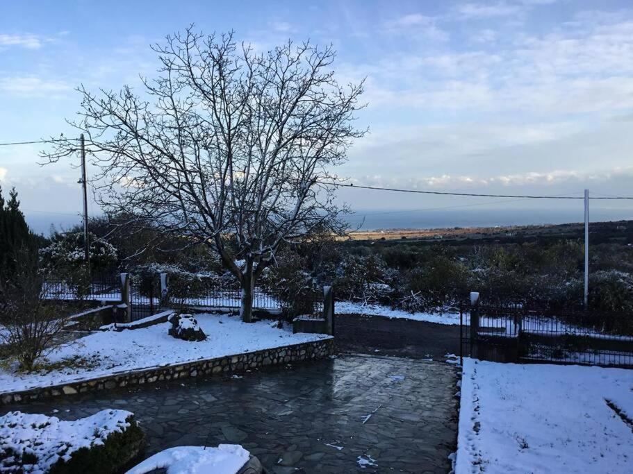 Villa_Kleio ลิโตโครอน ภายนอก รูปภาพ